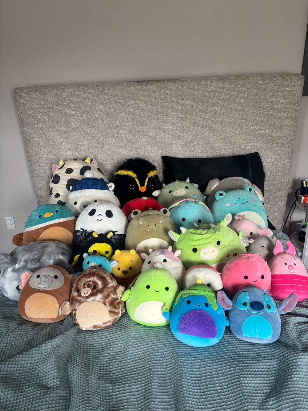 Lot of 27 Squishmallows